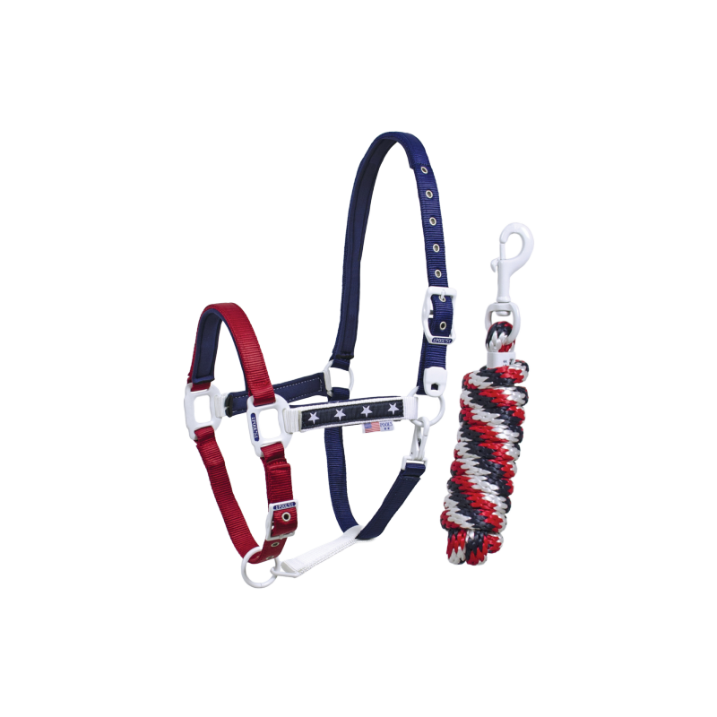 Licol et longe nylon USA