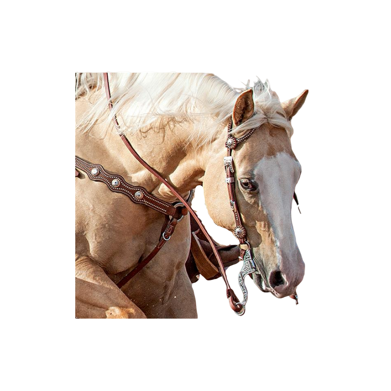 Bridon western Weaver Leather 10-0255