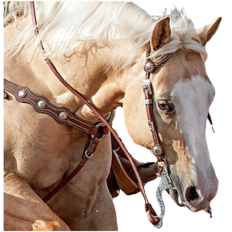 Bridon western Weaver Leather 10-0255