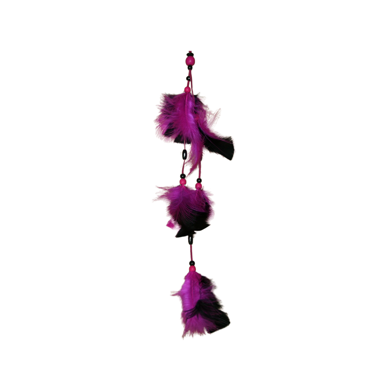 Plumes pour chapeau - Fuschia/noir