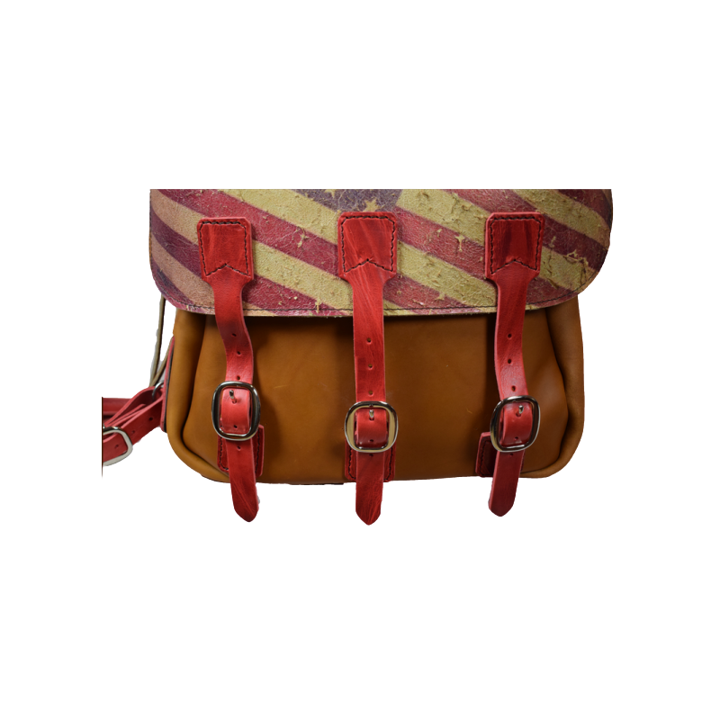 Sacoches randonnée option cubi US Flag