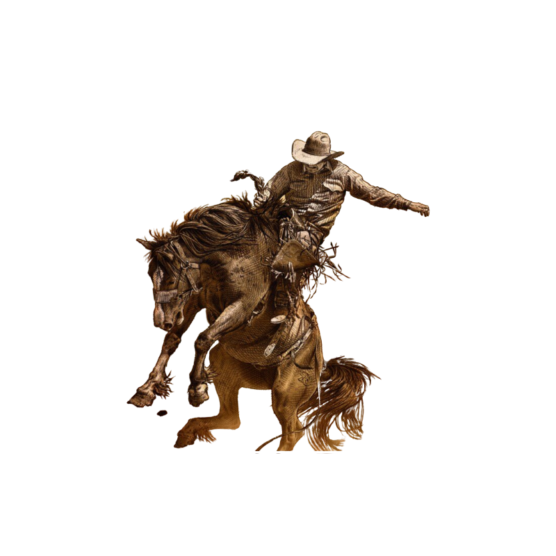 Affiche western BOBBHS