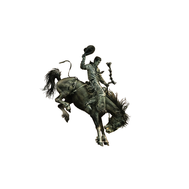 Affiche western BOBCFD