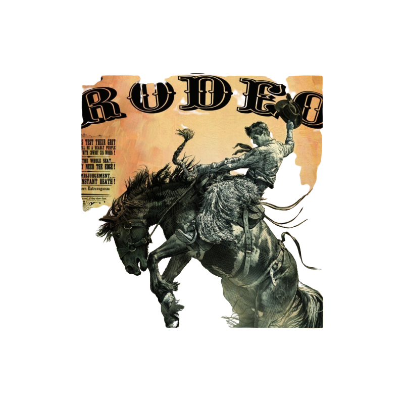 Affiche western BOBDR