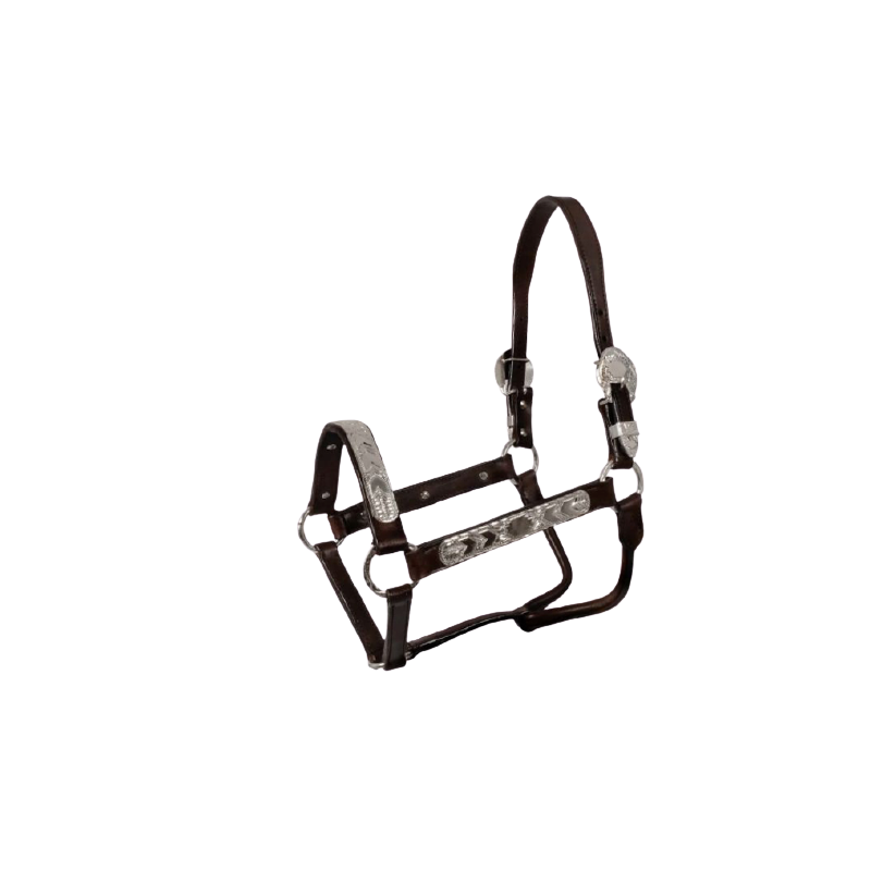 Licol de show PL00610