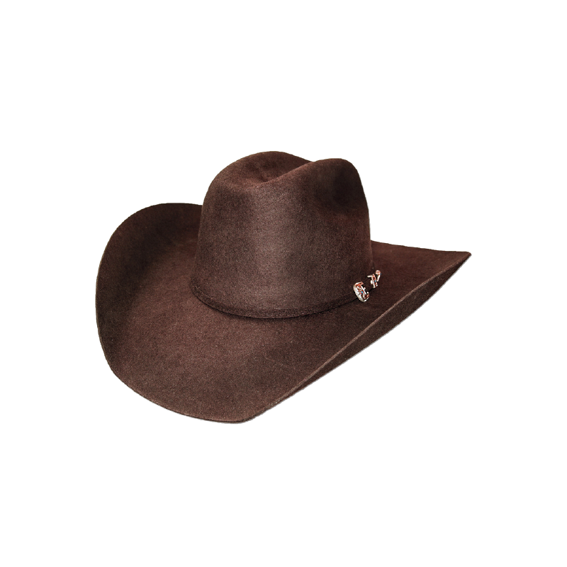Chapeau feutre Wyoming Brown