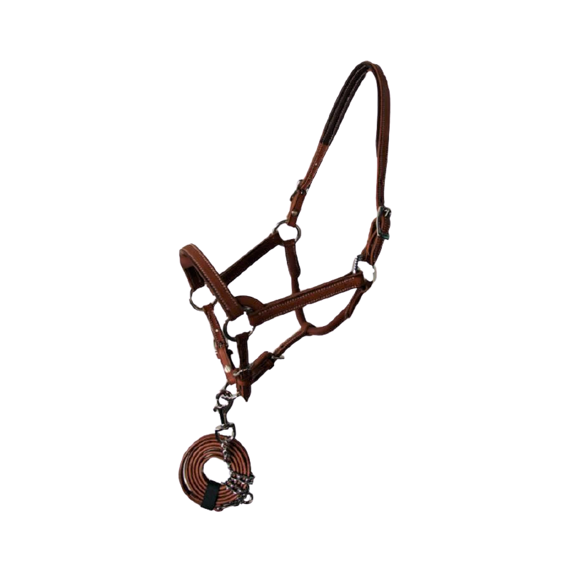 Licol cuir weanling HAL03