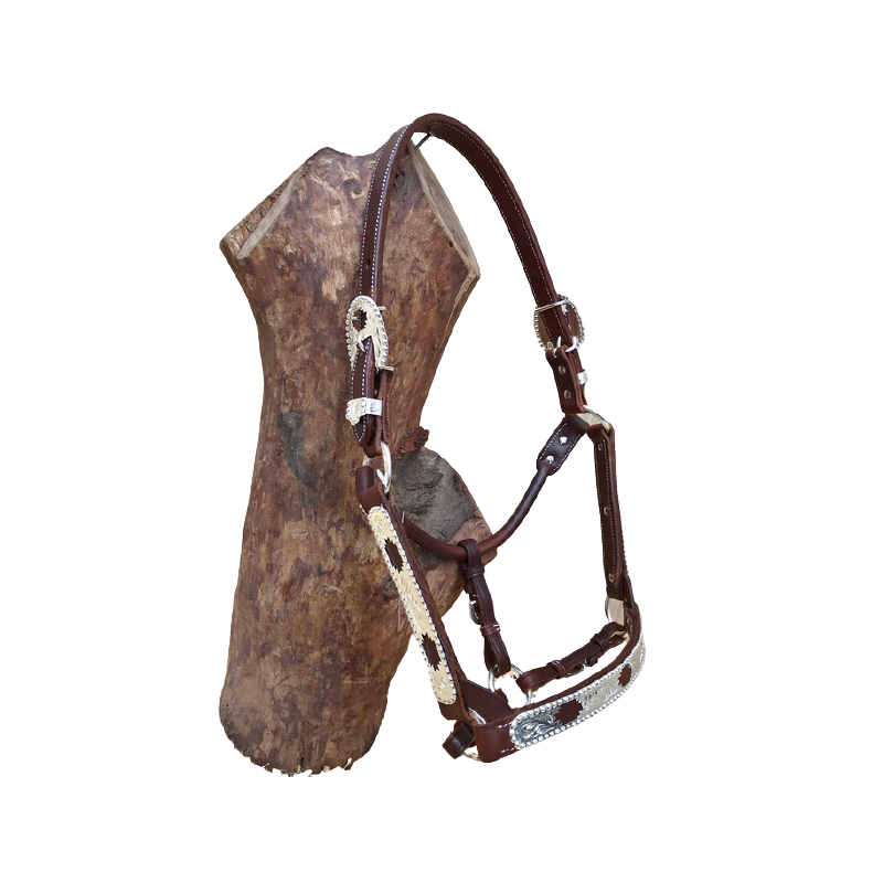 Licol de show QH HAL060