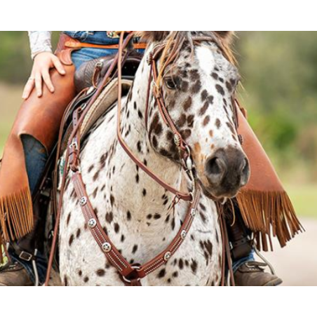 Bridon western cuir Texas Star