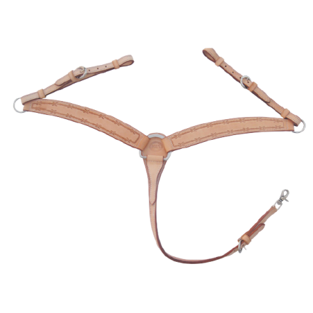 Collier de chasse Barbelés