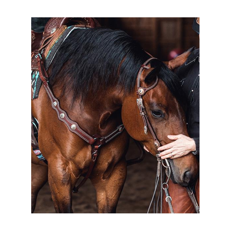 Collier de chasse Stacy Westfall