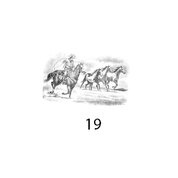 Poster Crayon Troupeau GA00825 FIG 19
