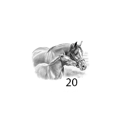 Poster Crayon Poulain GA00825 FIG 20