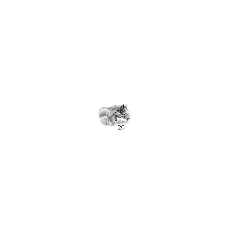 Poster Crayon Poulain GA00825 FIG 20