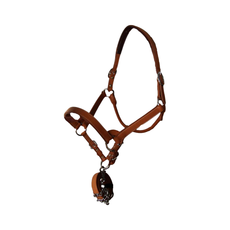 Licol de show Yearling HAL02