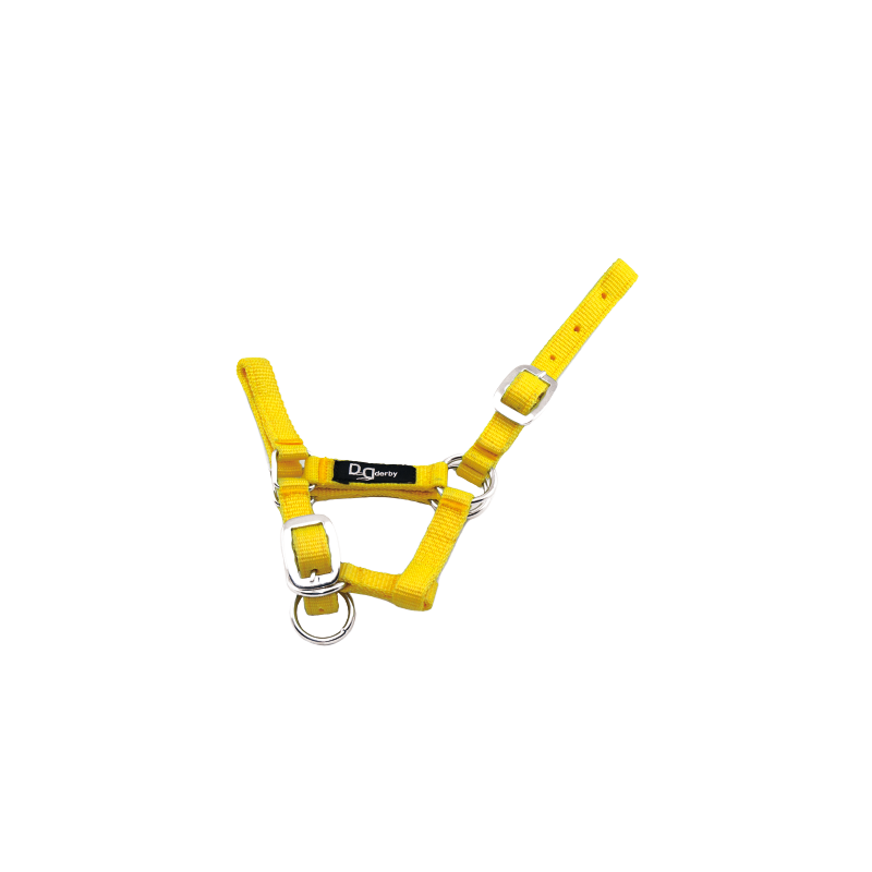 Licol foal nylon CA00014A