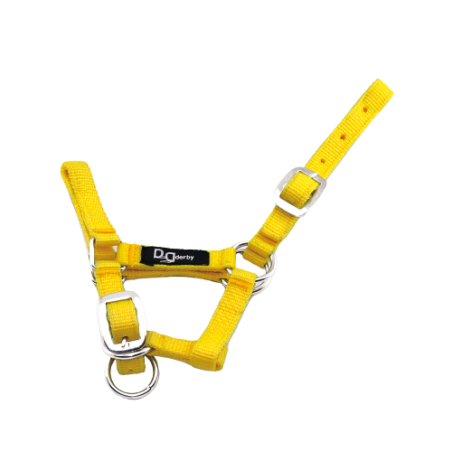 Licol nylon poulain et shetland Licol nylon poulain et shetland
