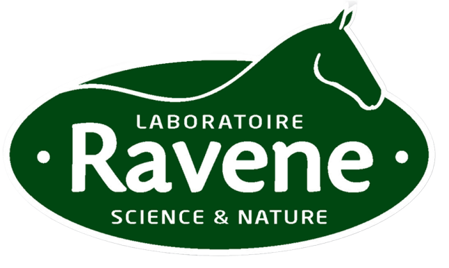 Logo de la marque Western & Country : RAVENE